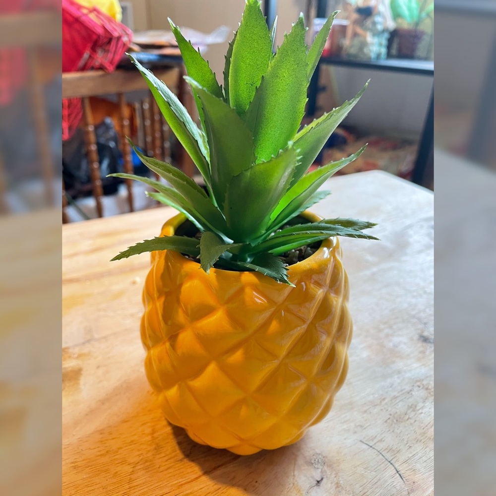 Pineapple plant
